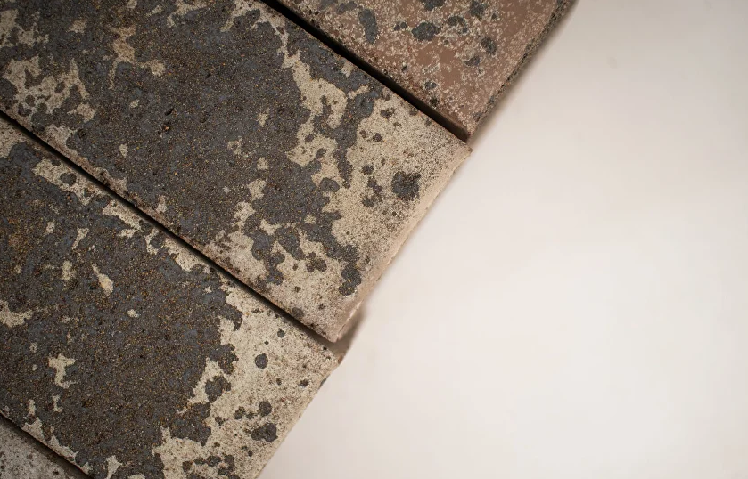 Кротовский Ордос 1НФ