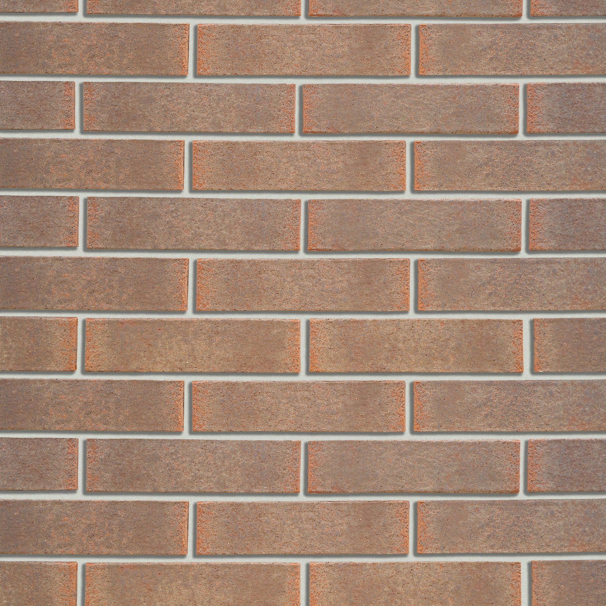 Кротовский Осень 1НФ